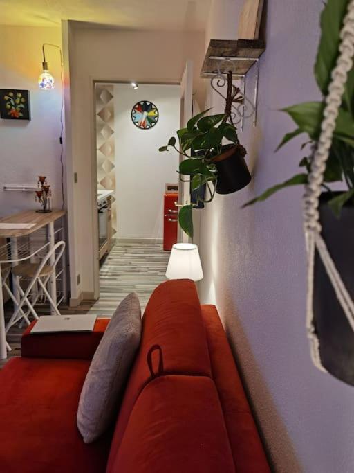 Cosy T1Bis Proche Centreville, Petit Port, Audencia น็องต์ ภายนอก รูปภาพ